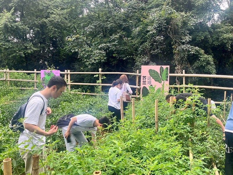 結對共建｜新朝陽黨支部開展慶“七一” 主題活動